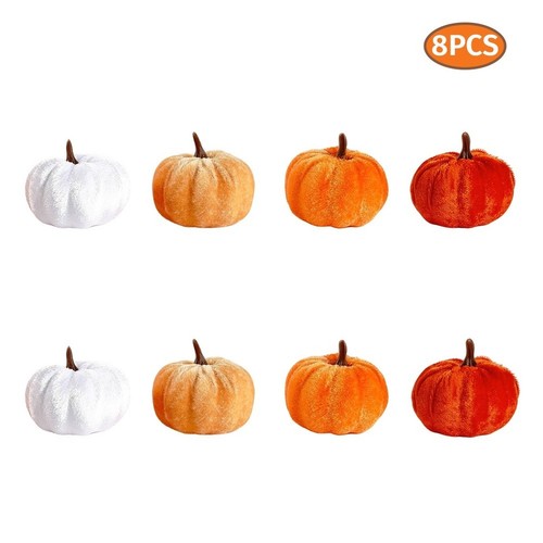 8pz zucche accoglienti - 8pz,